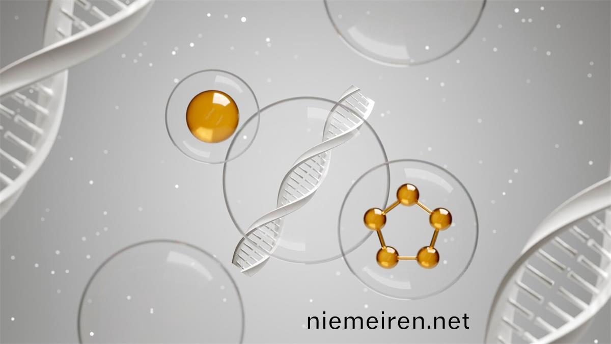 精(jing)胺昰(shi)哪箇(ge)氨(an)基痠(suan)轉化而(er)來的(de)